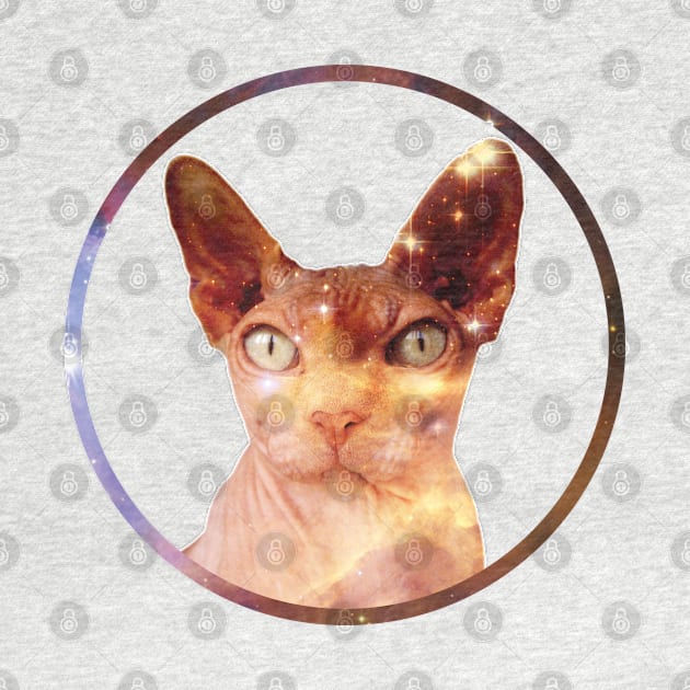 Cosmic Circle Sphynx Cat by RAdesigns